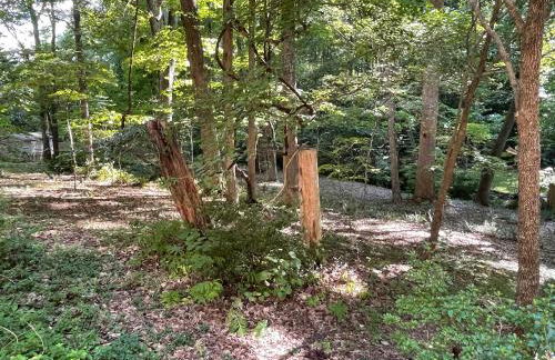 Mary's Place - Studio surrounded by nature but close to High Point - Photo 3