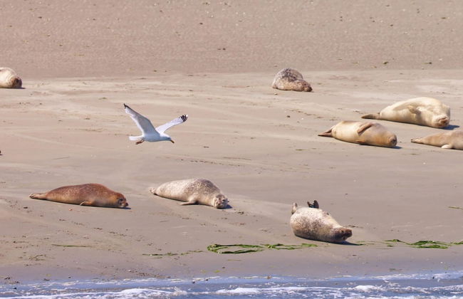 Modern Retreat With Private Sauna - Photo 18