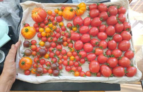 Garden Artist Loft Studio - Foto 25