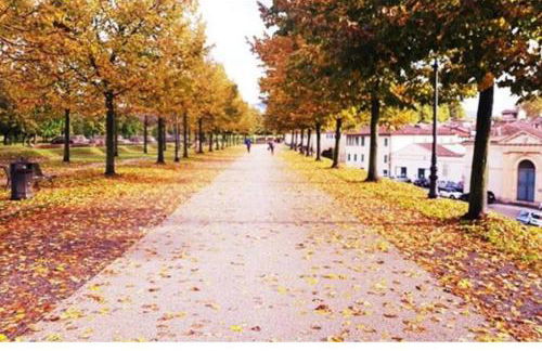 Holidayhome Villa Torre - Foto 13