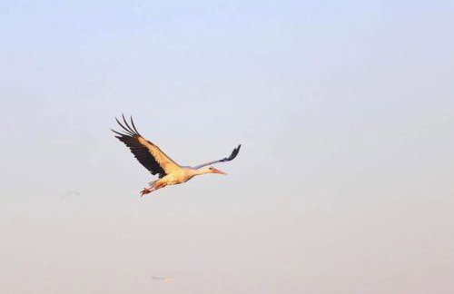 Stara Stolarnia - Foto 53