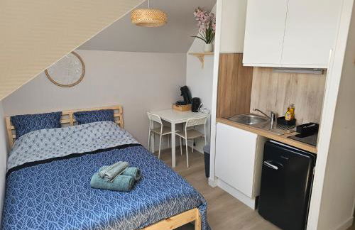 Joli studio plein centre proche Gare Orléans - Foto 1