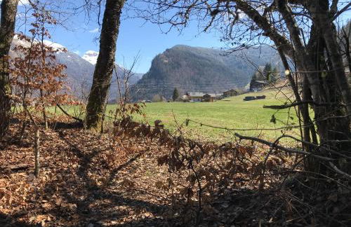 Chalet La Merlerie - Foto 19