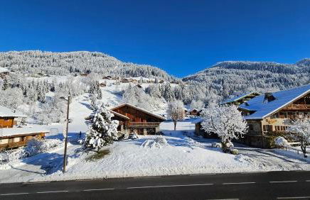 Demi-Chalet Vadel La Panthiaz 15 Pers 5 chambres - Foto 38