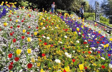 RORY HOUSE - Como - Foto 36