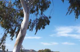 VILLA MARIA - Foto 10