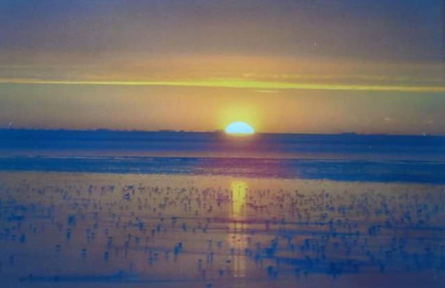 Pets Stay Free 8 Berth lux van Heacham Beach - Foto 23