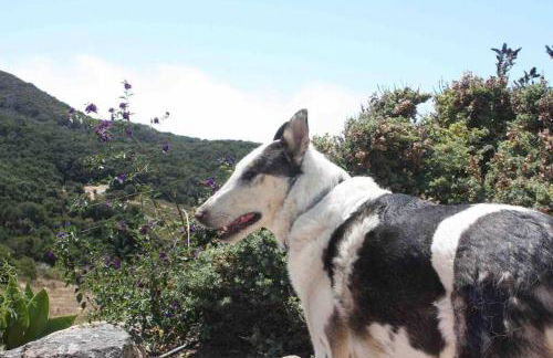 Pacific Coast Highway Milkhouse - Foto 41