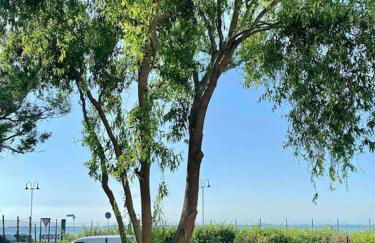 Casa del Salice Lagoon View with Garden - Photo 33