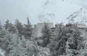 Biznaga Nevada - Foto 62