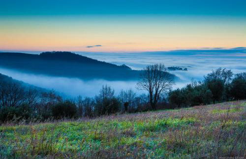 Agriturismo Casa Zen - Foto 14