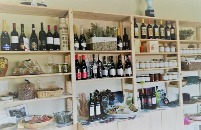 Viola nel Parco - Foto 63