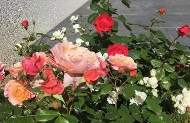 Mandy Apartman - Foto 5