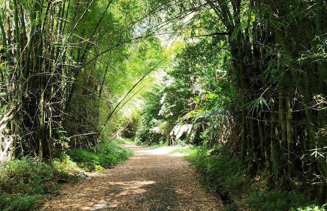 Beachfront Studios - Foto 35