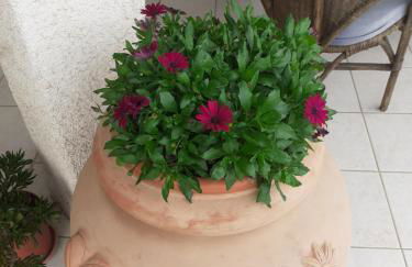 Rispescia Casa Vacanze Grosseto - Foto 26