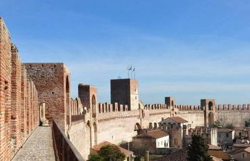 GrappaLand - Foto 41