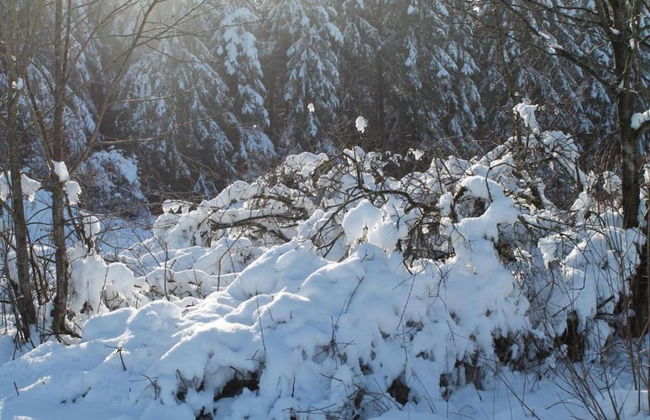 Spacious Holiday Home in Menkhausen near Ski Area - Foto 32