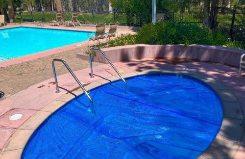 Mammoth Green 101 - Photo 22