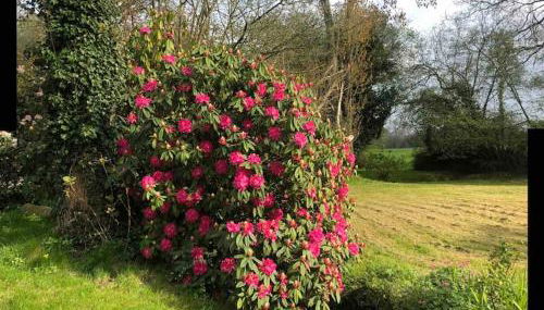 Gîte du moulin de Trostang - Foto 4