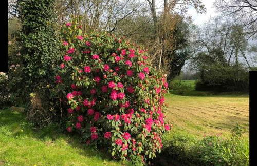 Gîte du moulin de Trostang - Foto 4