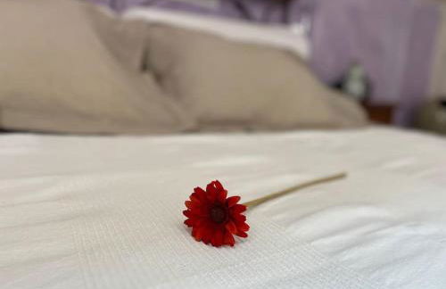 Attico Centro San Damiano d'Asti - Foto 17