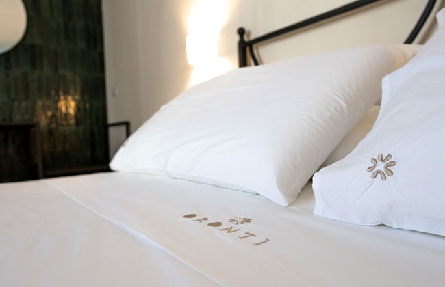 Oronti Accommodations - Photo 4