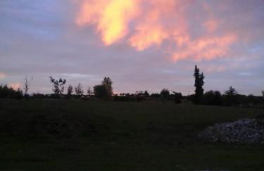 Quinta dos Trevos - Artes e Ofícios - Foto 70