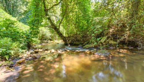 Pinnacle Mountain Falls Sunset Cottage with Deck - Foto 2