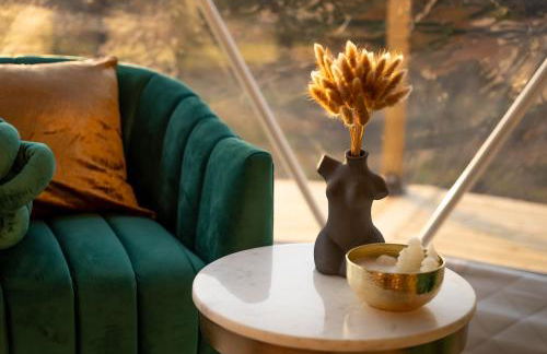 Deluxe Stargazer Dome Retreat in Stunning Nature - Photo 4