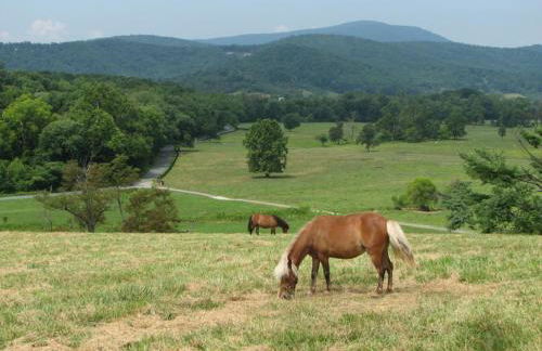 Fairhill Farm Country Vacation Rentals - Foto 19