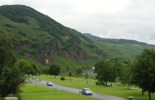 moselferienwohnungen-uerzig - Foto 20