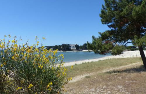 MOUETTES 3 - Balcon, Vue Mer, Men Du - T356 - Foto 21