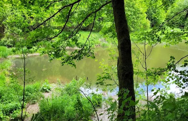 Ebenerdige Wohnung mit Terrasse in Winterberg - Foto 28