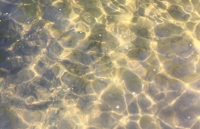 Lazy Pines Lodge - Foto 28