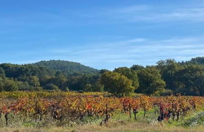 Inspiration maison entière avec jardin - Photo 32