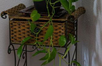 Casa los toriles - Photo 26