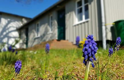 Ferienwohnungen Unter den Linden - Foto 6