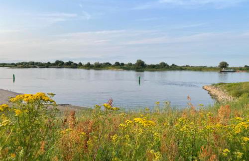 Haus am Wald in Hitzacker Elbe Wendland - Foto 24