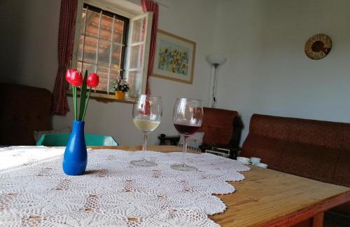 Rural house above the forest - Foto 13