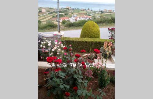villa roses-mourteri - Foto 16