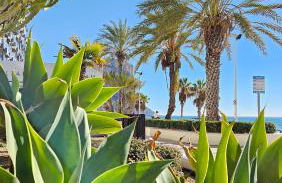 Atlantico Flamingo - Photo 43