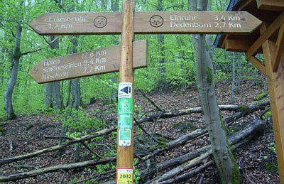 Fewo Zum Sonnenschein - Foto 25