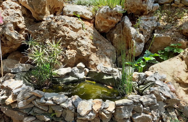 Villa Kastania - Foto 57