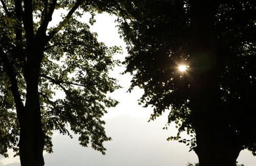 Große Wohnung / Haushälfte in Peetzig am See - Foto 71