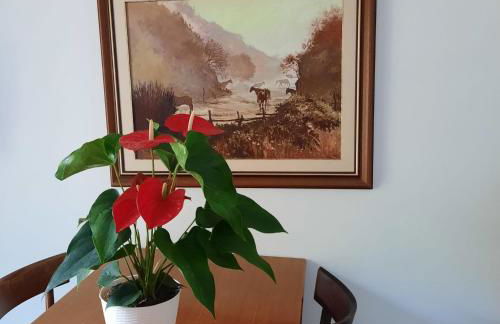 Casa Maioli - Your Mountain Holiday - Foto 24