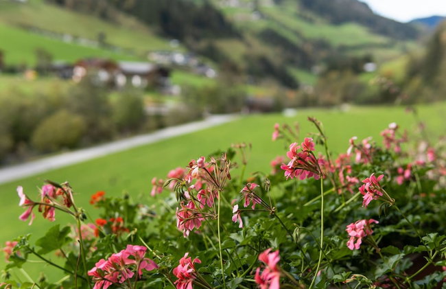 Apartment Grossarl Near Ski Slopes - Foto 19