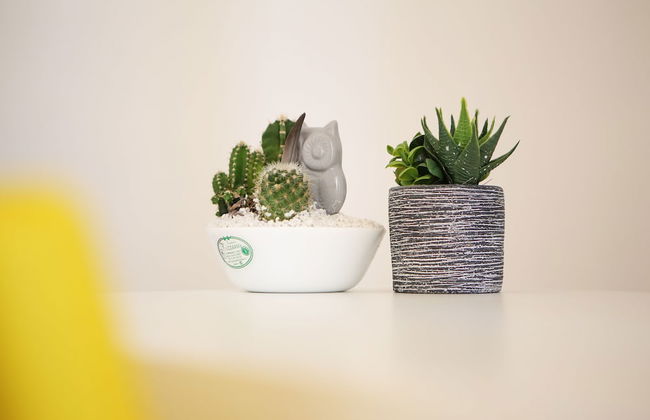 Casa Milì by Wonderful Italy - Foto 13