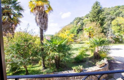 Les palmiers - Foto 21