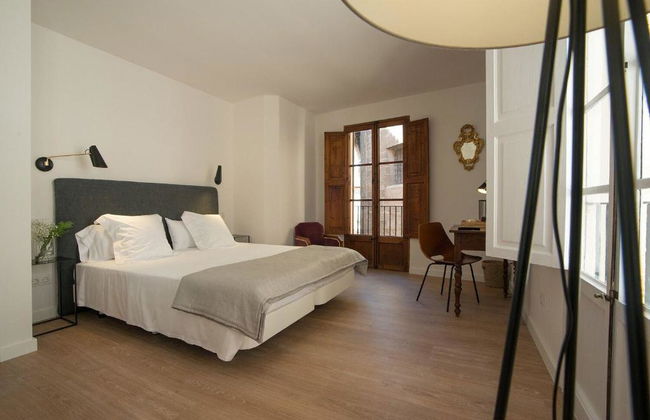 Canavall - Photo 142