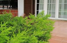 Ευχάριστη βίλα στη Χαλκίδα στην περιοχή ''Αλυκές'' - Foto 20